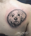mark-tattoo-torrejon-ardoz-madrid-tatuaje-retrato-espalda-perro-bichon-maltes