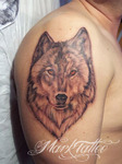 mark-tattoo-torrejon-ardoz-tatuaje-hombro-lobo