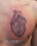 mark-tattoo-torrejon-ardoz-tatuaje-pecho-corazon-anatomia